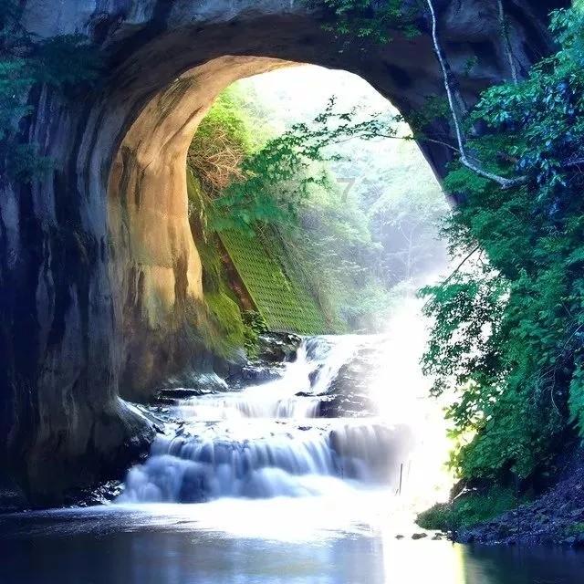 逃离壳牌岛